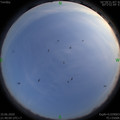 1591800023.jpg
