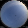 1591800263.jpg