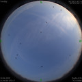 1591800563.jpg