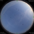 1591800803.jpg