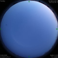 1591804135.jpg