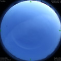 1591807436.jpg