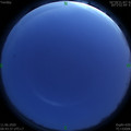 1591811038.jpg