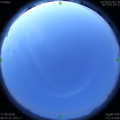 1591818467.jpg