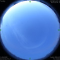 1591818917.jpg