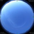 1591819007.jpg
