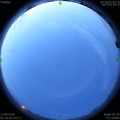 1591820313.jpg