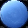 1591821168.jpg