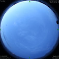 1591821288.jpg