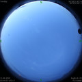 1591821918.jpg