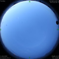 1591822099.jpg