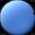 1591822339.jpg