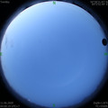 1591822834.jpg