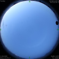 1591822894.jpg