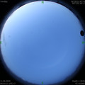 1591823014.jpg