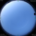 1591823194.jpg