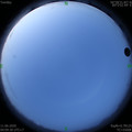 1591823389.jpg