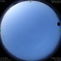 1591823449.jpg