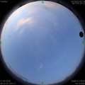 1591824785.jpg