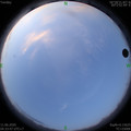 1591824845.jpg