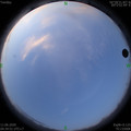 1591824905.jpg