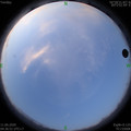 1591825025.jpg