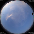 1591825085.jpg
