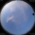 1591825145.jpg