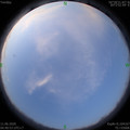 1591825265.jpg