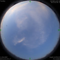 1591825325.jpg