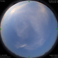 1591825520.jpg