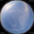 1591825760.jpg