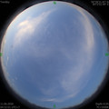 1591825941.jpg