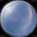 1591826001.jpg