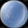 1591826361.jpg