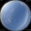 1591826481.jpg