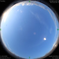 1591829932.jpg