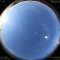 1591832244.jpg