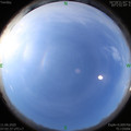 1591833774.jpg