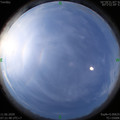 1591834930.jpg