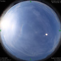 1591835305.jpg