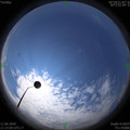 1591848917.jpg