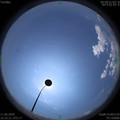 1591852954.jpg