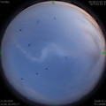 1591887636.jpg