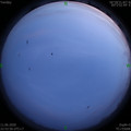 1591890848.jpg