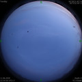 1591890908.jpg
