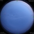 1591891463.jpg
