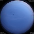 1591891523.jpg