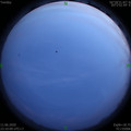 1591891823.jpg