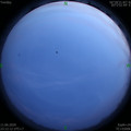 1591891943.jpg